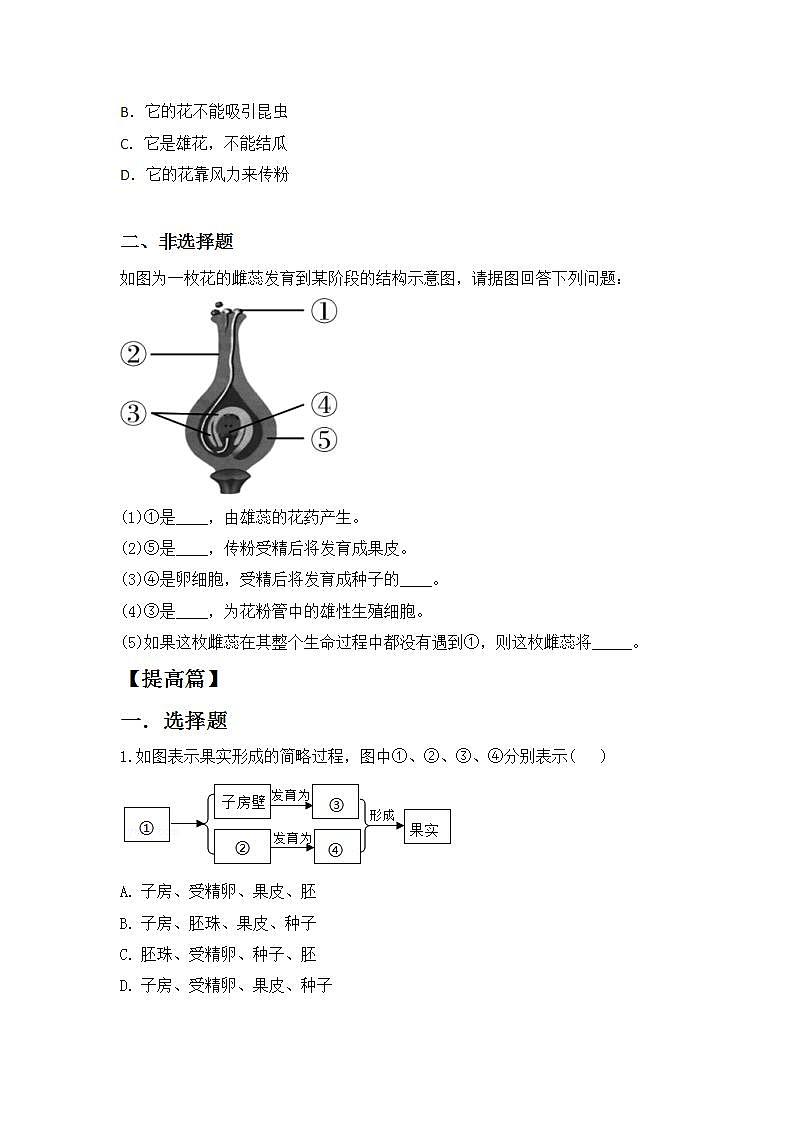 人教版初中生物七年级上册3.2.3《开花和结果》同步分层练习（含答案）第2页