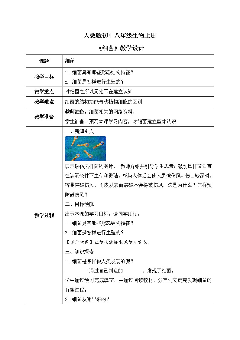 第四章第二节《细菌》课件+教案01