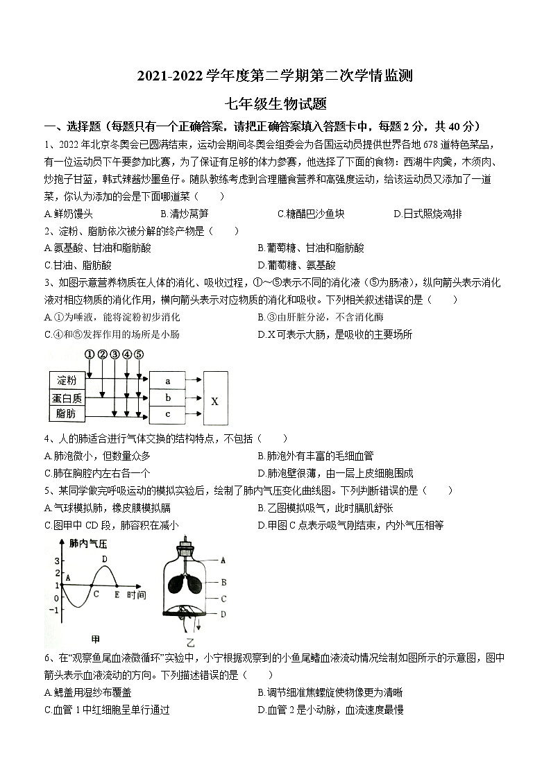 山东省济宁市金乡县2021-2022学年七年级下学期期末生物试题(word版含答案)01
