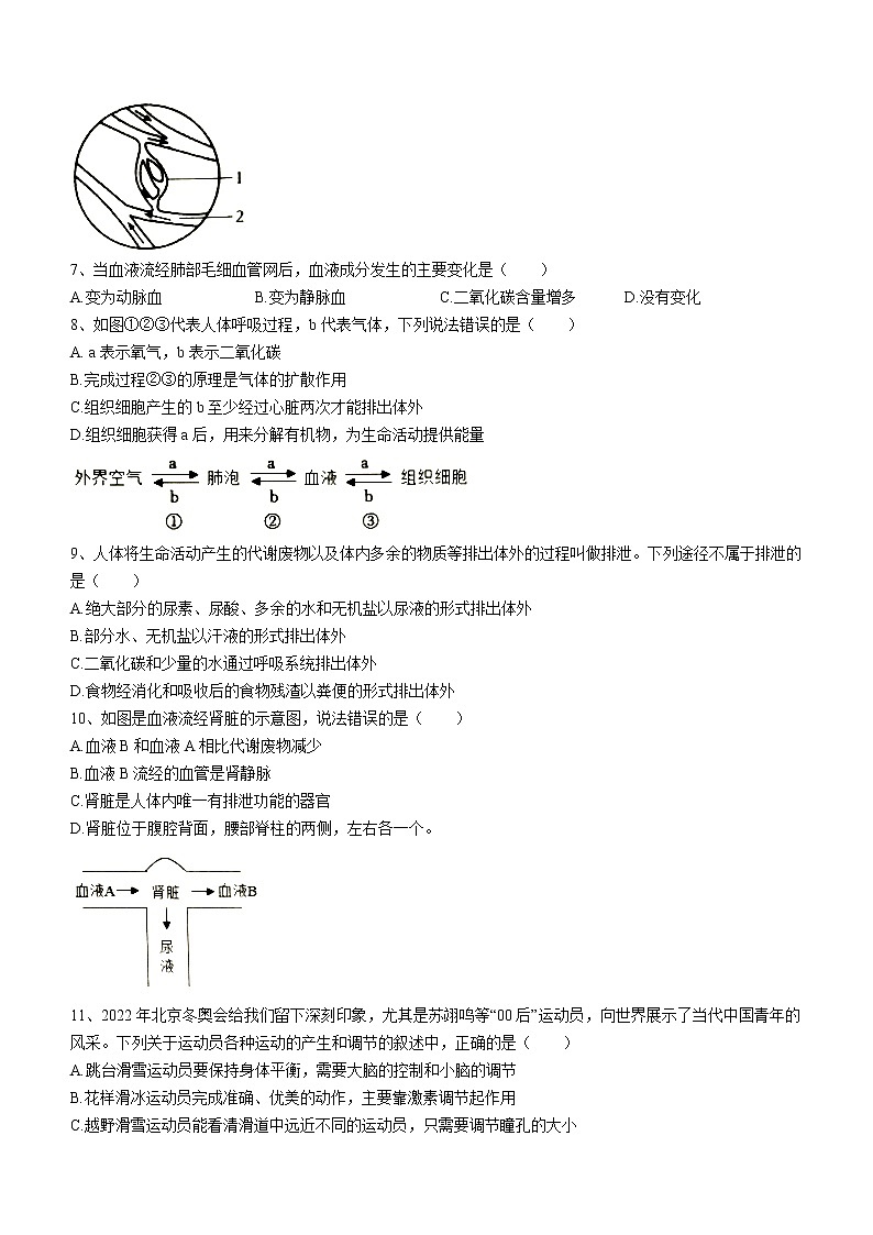 山东省济宁市金乡县2021-2022学年七年级下学期期末生物试题(word版含答案)02