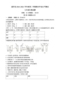 山东省济宁市嘉祥县2021-2022学年七年级下学期期末生物试题(word版含答案)