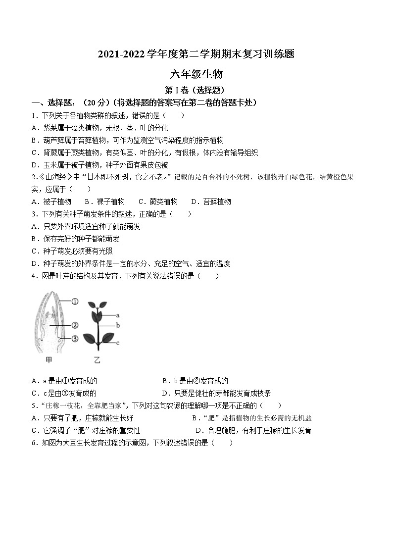 山东省淄博市高青县2021-2022学年六年级下学期期末生物试题(word版含答案)第1页