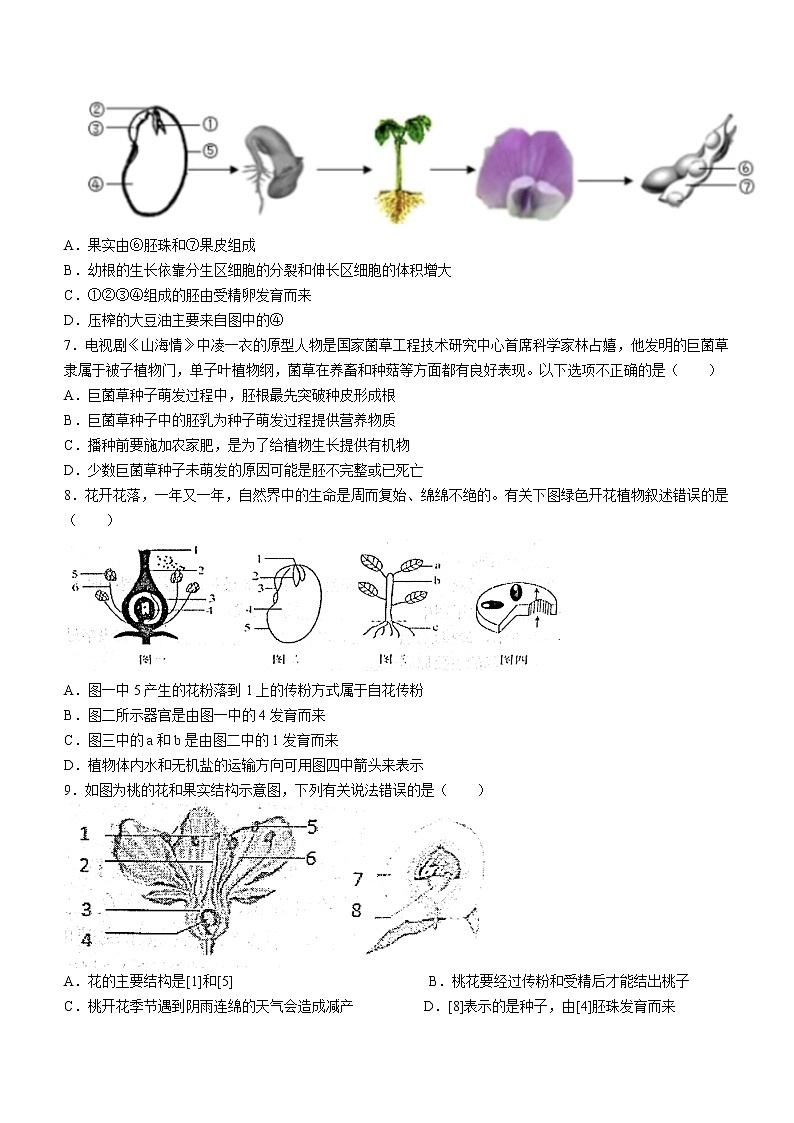 山东省淄博市高青县2021-2022学年六年级下学期期末生物试题(word版含答案)第2页