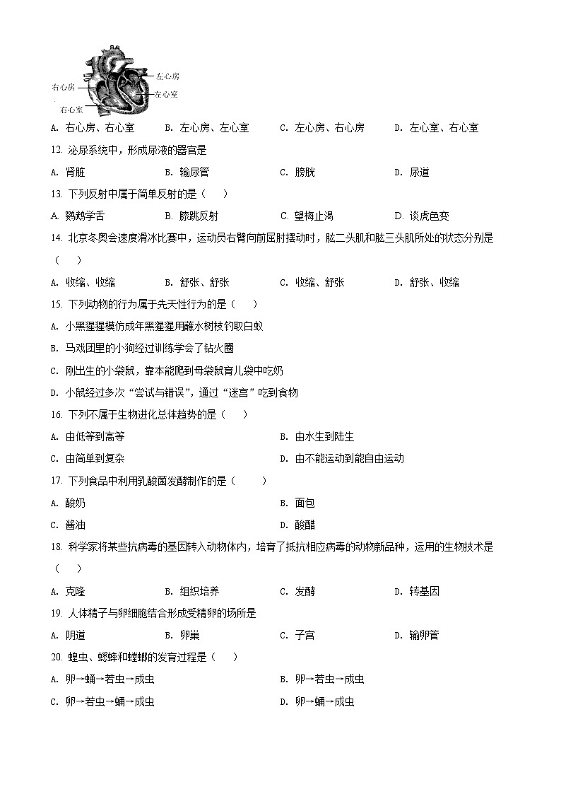 2022年黑龙江省牡丹江市中考生物真题(word版含答案)第2页