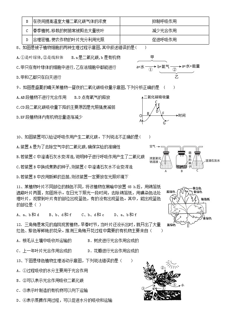植物的三大生理作用测试题第2页