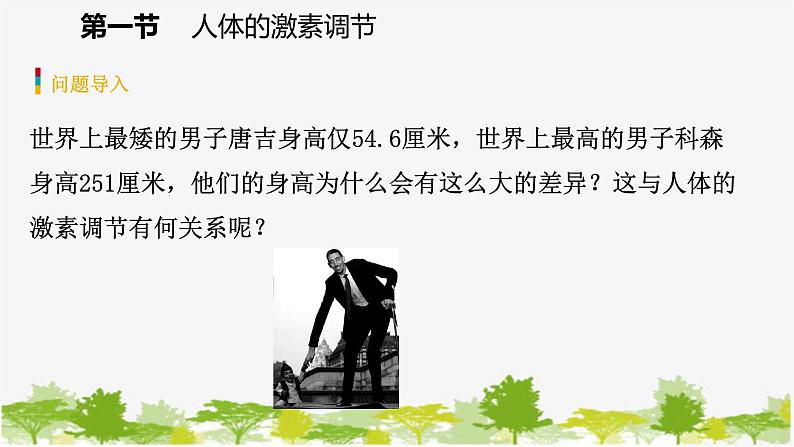 苏教版七年级生物下册 第十二章 第一节　人体的激素调节课件第4页