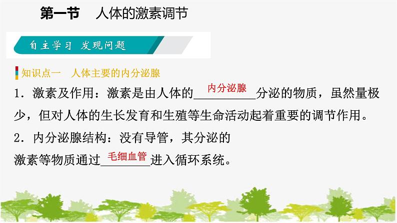 苏教版七年级生物下册 第十二章 第一节　人体的激素调节课件第5页