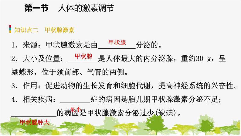 苏教版七年级生物下册 第十二章 第一节　人体的激素调节课件第7页