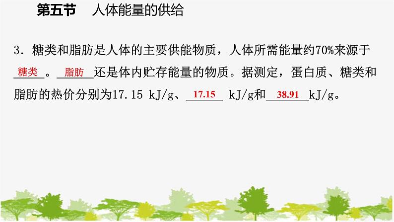 苏教版七年级生物下册 第十章 第五节  人体能量的供给课件第6页