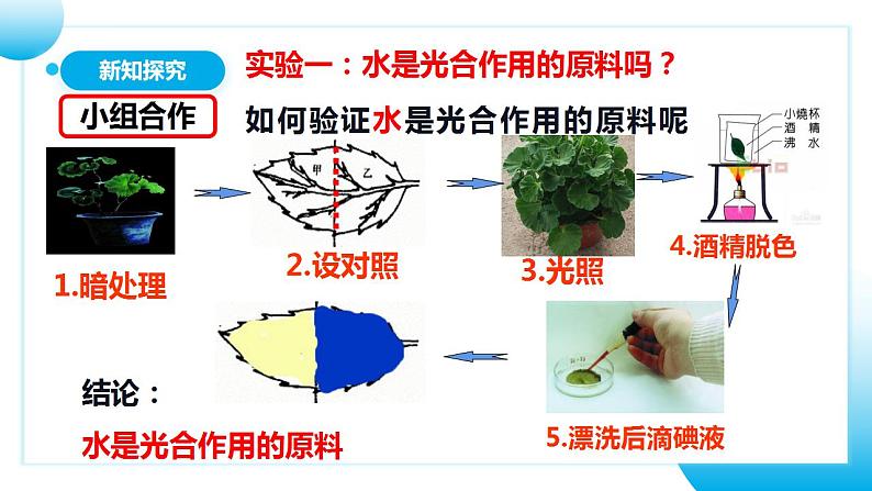 【核心素养目标】人教版 (新课标)初中生物七年级上册3.5.1《光合作用吸收二氧化碳释放氧气》课件+教案+同步分层练习（含答案）08