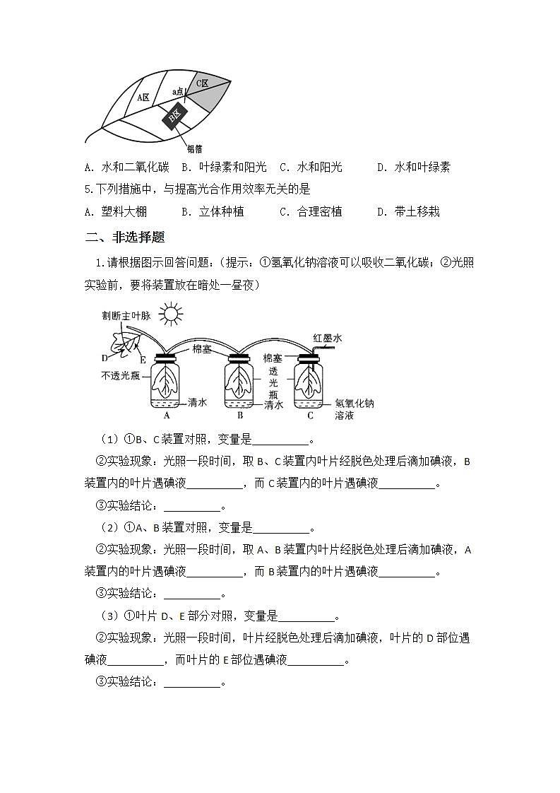 【核心素养目标】人教版 (新课标)初中生物七年级上册3.5.1《光合作用吸收二氧化碳释放氧气》课件+教案+同步分层练习（含答案）02
