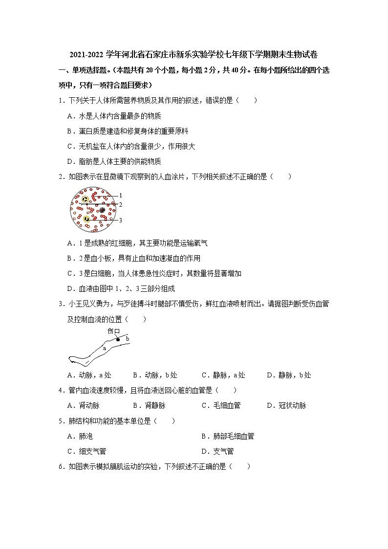 河北省石家庄市新乐实验学校2021-2022学年七年级下学期期末生物试卷(word版含答案)第1页