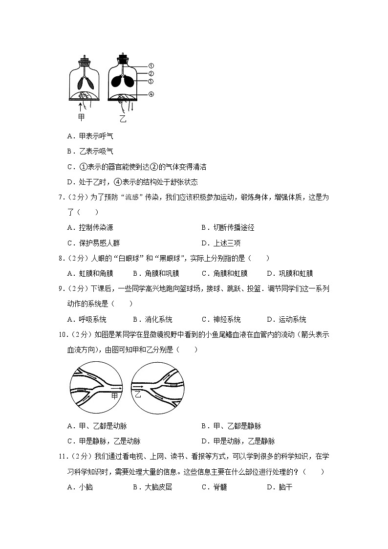 河北省石家庄市新乐实验学校2021-2022学年七年级下学期期末生物试卷(word版含答案)第2页