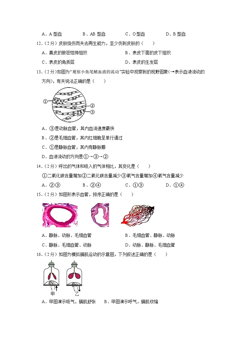福建省龙岩市连城县2021-2022学年七年级下学期期末生物试卷(word版含答案)02