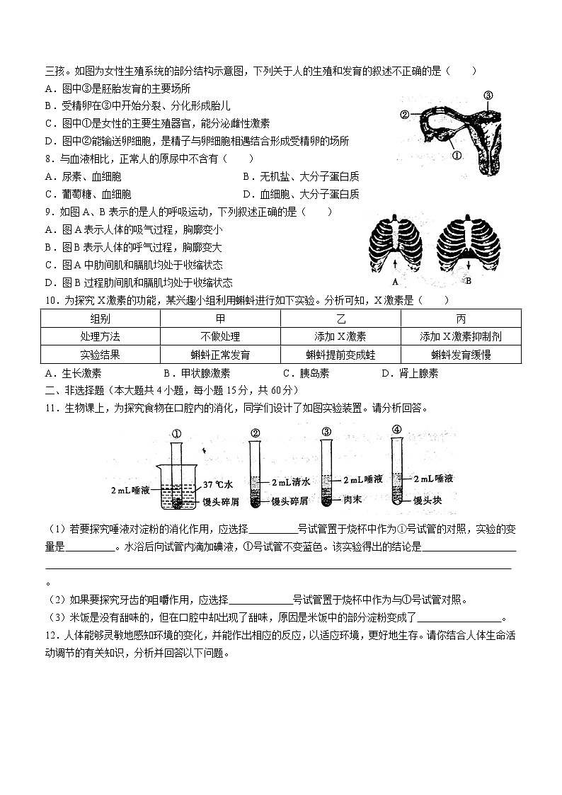 安徽省亳州市2021-2022学年七年级下学期期末生物试题(word版含答案)02