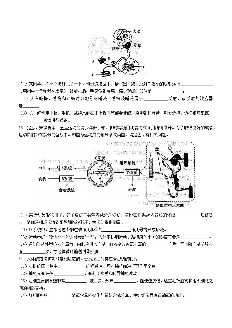 安徽省亳州市2021-2022学年七年级下学期期末生物试题(word版含答案)03