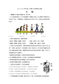 内蒙古鄂尔多斯市康巴什区2021-2022学年七年级下学期期末生物试卷(word版含答案)