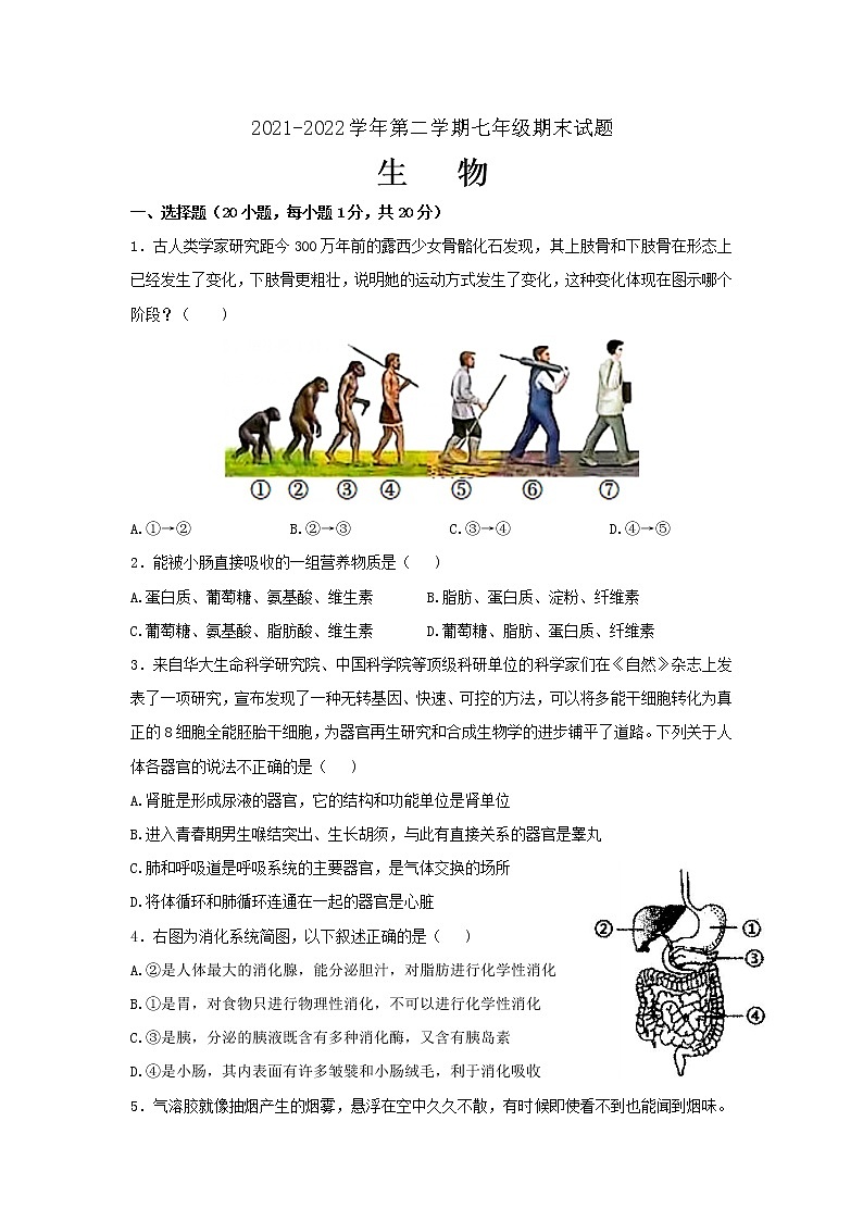 内蒙古鄂尔多斯市康巴什区2021-2022学年七年级下学期期末生物试卷(word版含答案)01