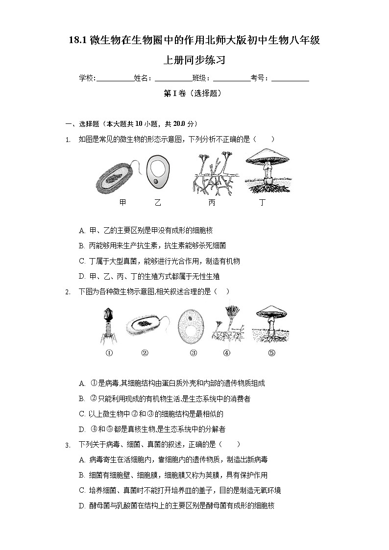 18.1微生物在生物圈中的作用  北师大版初中生物八年级上册同步练习（含答案解析）第1页