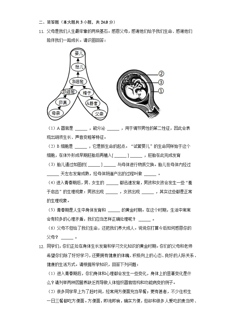 19.1人的生殖和发育  北师大版初中生物八年级上册同步练习（含答案解析）03