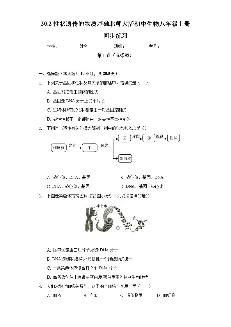 20.2性状遗传的物质基础  北师大版初中生物八年级上册同步练习（含答案解析）第1页