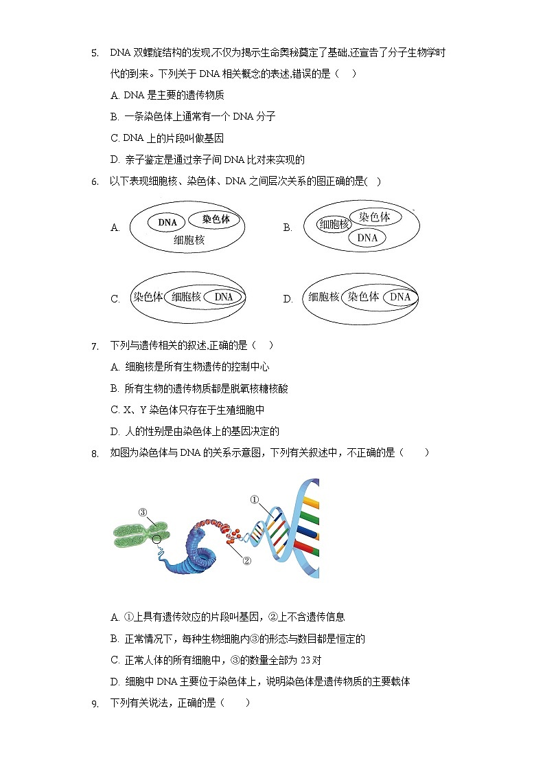 20.2性状遗传的物质基础  北师大版初中生物八年级上册同步练习（含答案解析）第2页