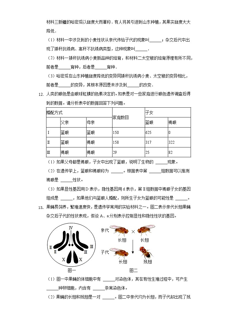 20.5遗传与环境  北师大版初中生物八年级上册同步练习（含答案解析）03