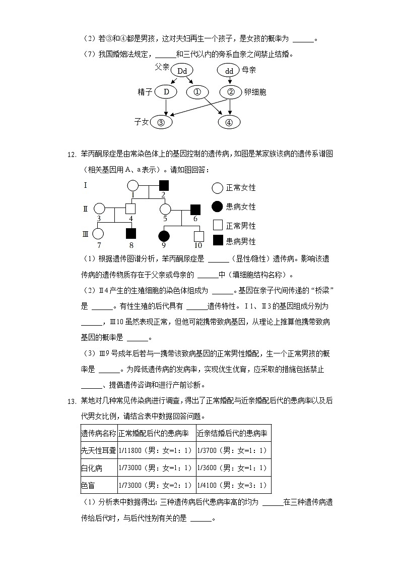 20.6遗传病和人类健康  北师大版初中生物八年级上册同步练习（含答案解析）03