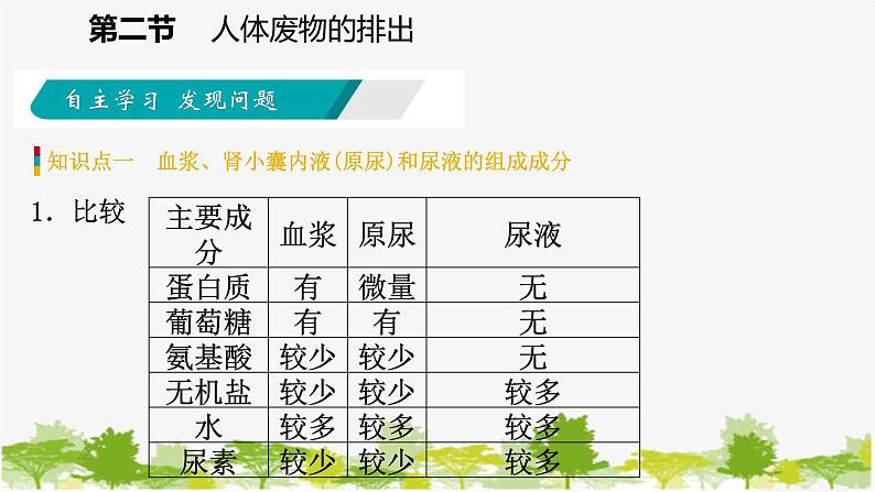 苏教版七年级生物下册 第十一章 第二节　第1课时　尿液的形成和排出课件04