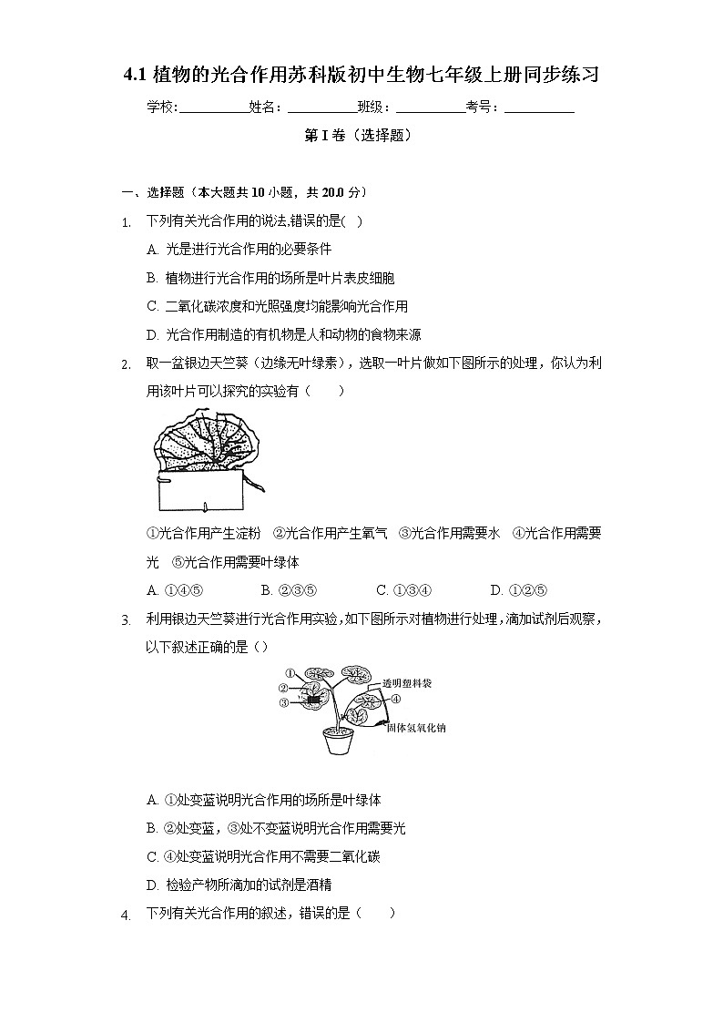 4.1植物的光合作用  苏科版初中生物七年级上册同步练习（含答案解析）01