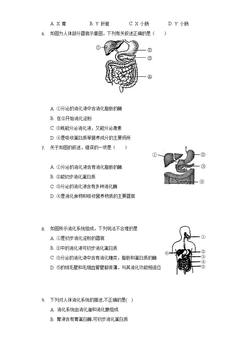 5.4人体对食物的消化吸收  苏科版初中生物七年级上册同步练习（含答案解析）02