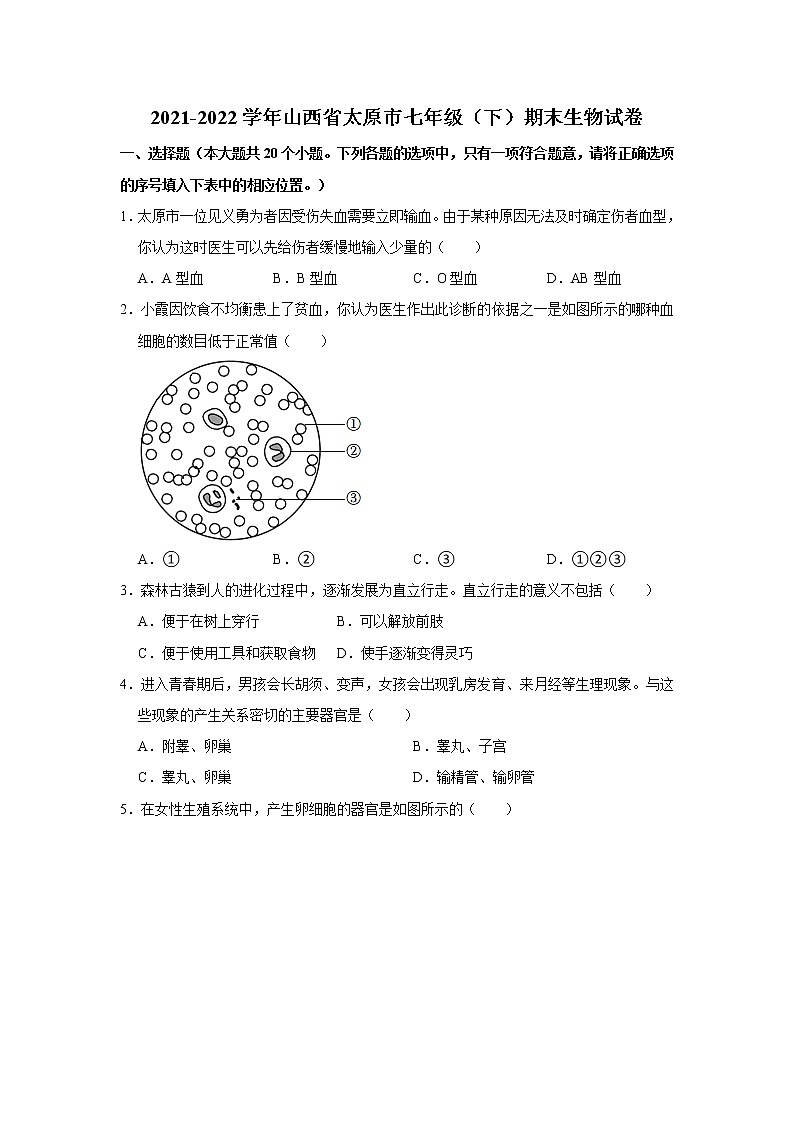 山西省太原市2021-2022学年七年级下学期期末生物试卷(word版含答案)01
