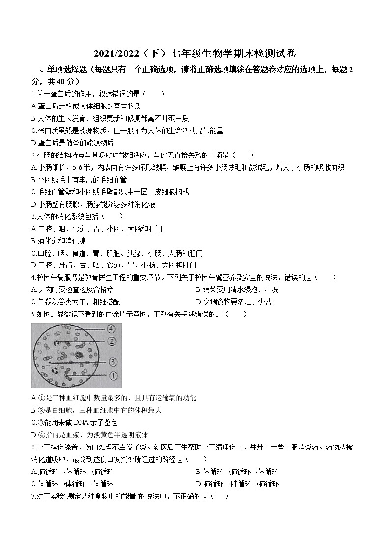 安徽省阜阳市临泉县2021-2022学年七年级下学期期末生物试题(word版含答案)第1页