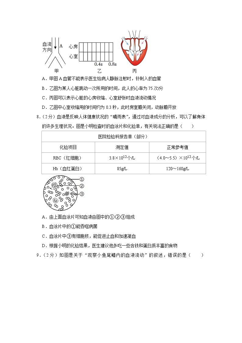 山东省潍坊市潍城区等六区2021-2022学年七年级下学期期末生物试卷(word版含答案)第3页