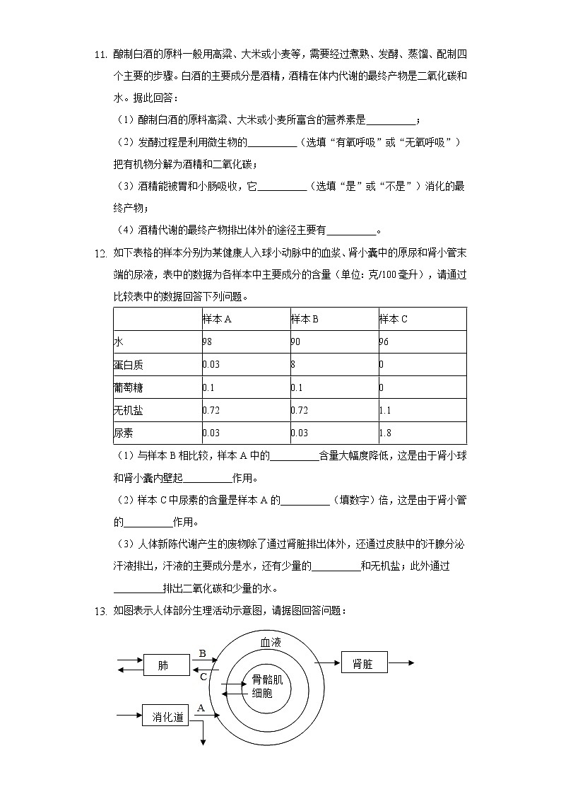 15.2人体内废物的排出    苏科版初中生物八年级上册同步练习（含答案解析）03