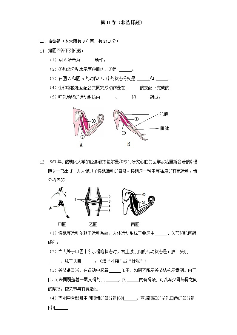 17.1人体的运动    苏科版初中生物八年级上册同步练习（含答案解析）03
