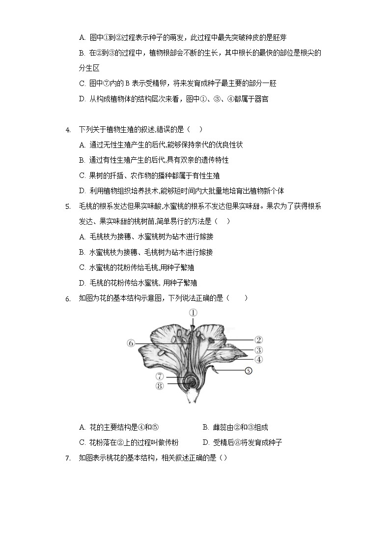 19.1植物的生殖    苏科版初中生物八年级上册同步练习（含答案解析）02