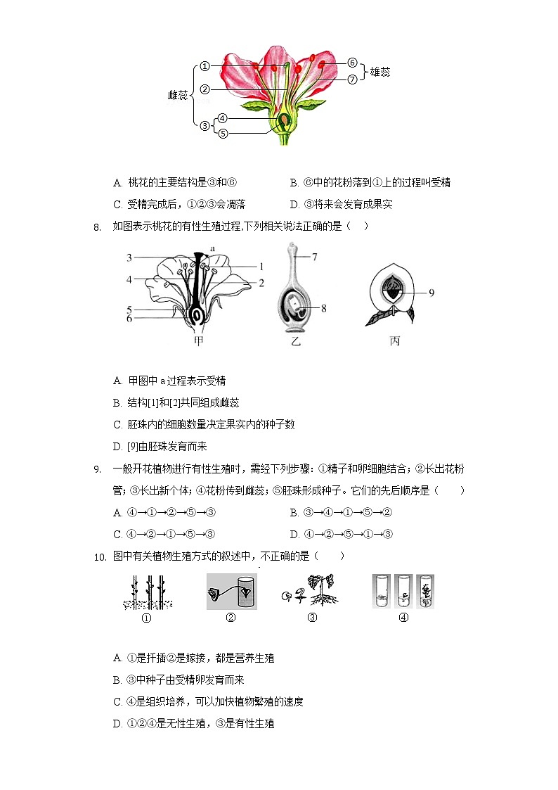 19.1植物的生殖    苏科版初中生物八年级上册同步练习（含答案解析）03