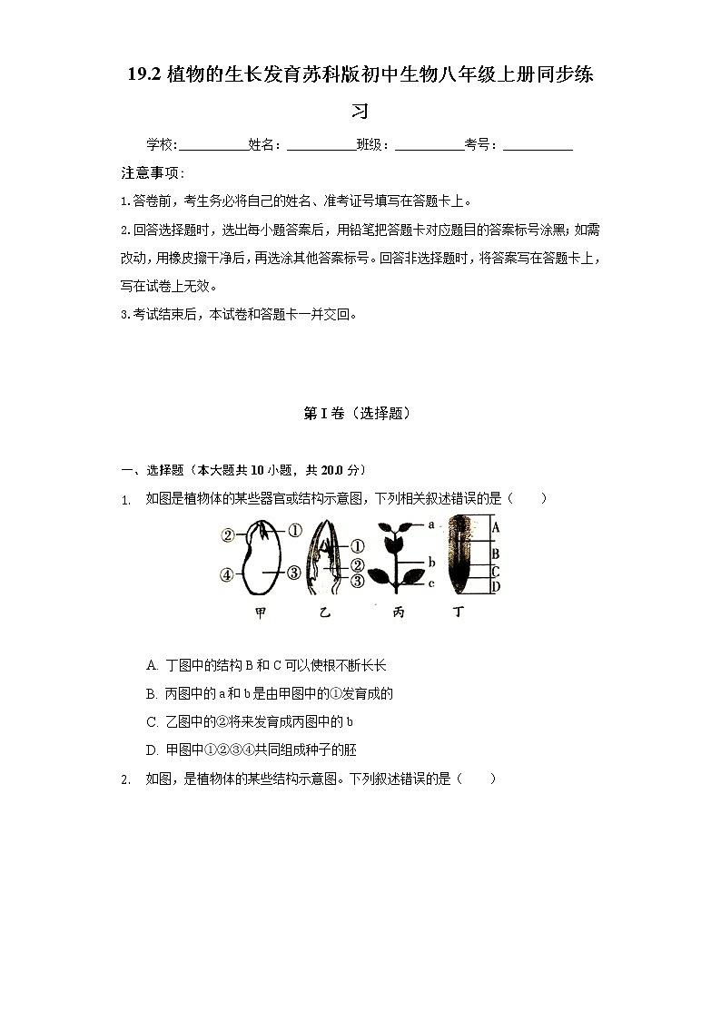19.2植物的生长发育    苏科版初中生物八年级上册同步练习（含答案解析）01