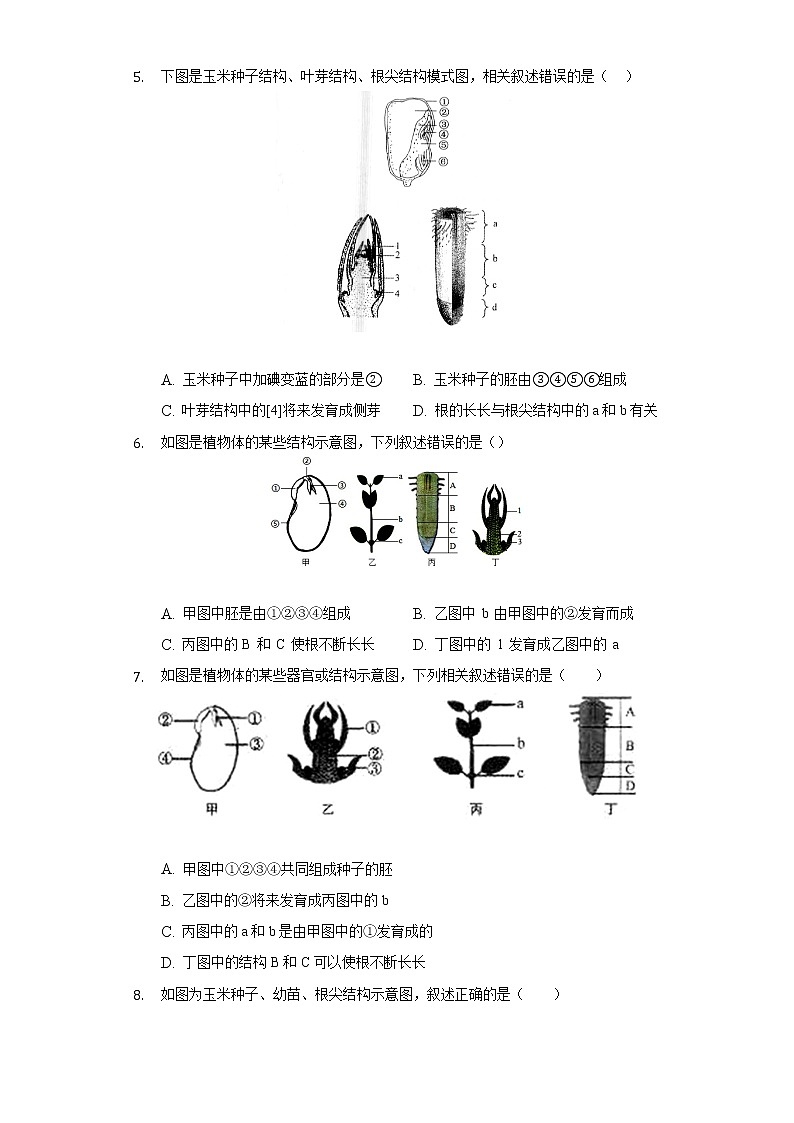 19.2植物的生长发育    苏科版初中生物八年级上册同步练习（含答案解析）03