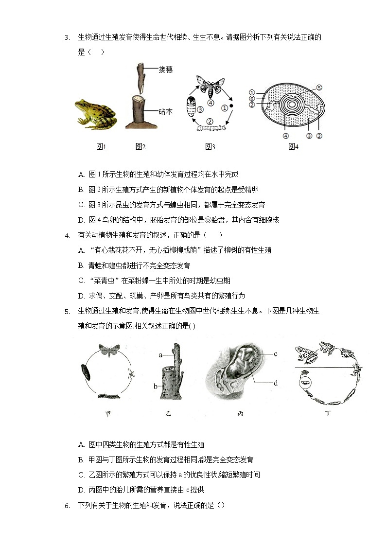 20.2动物的发育   苏科版初中生物八年级上册同步练习（含答案解析）02