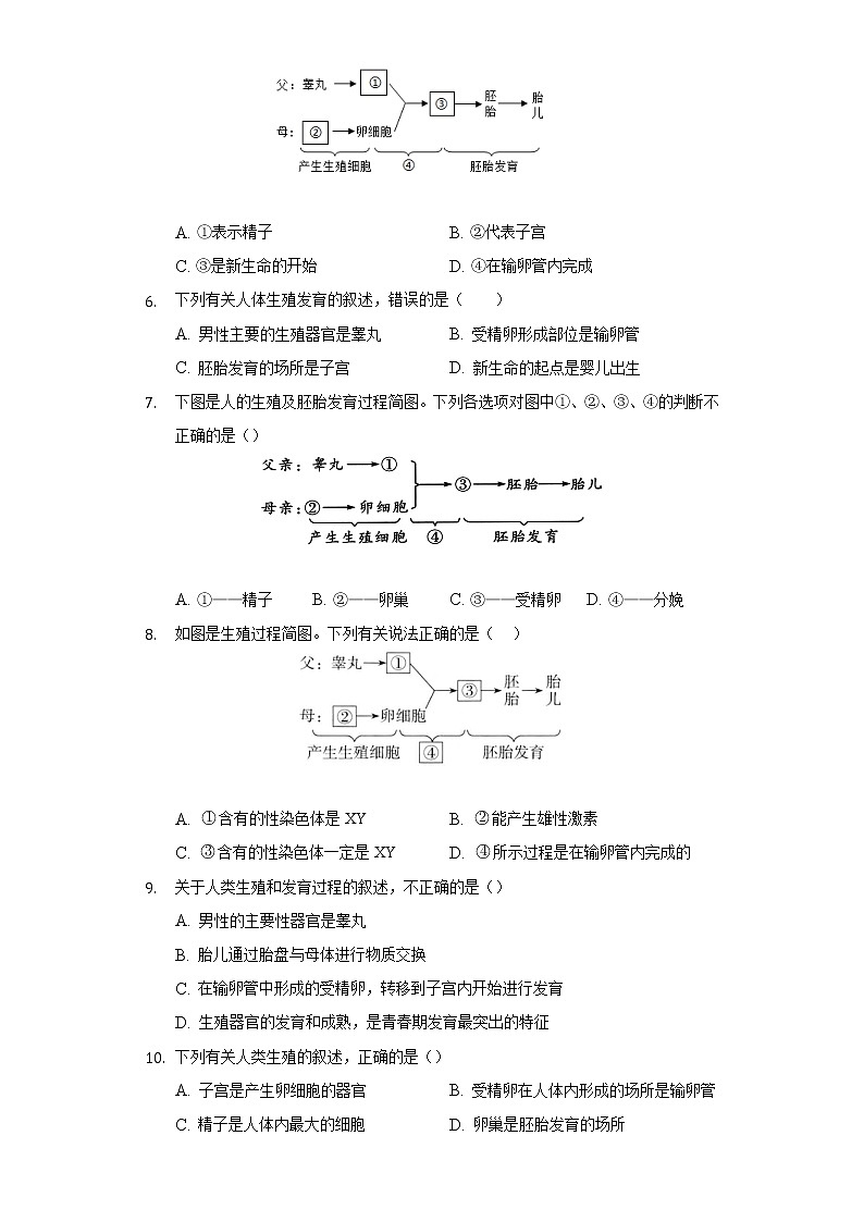 21.1人的生殖  苏科版初中生物八年级上册同步练习（含答案解析）02