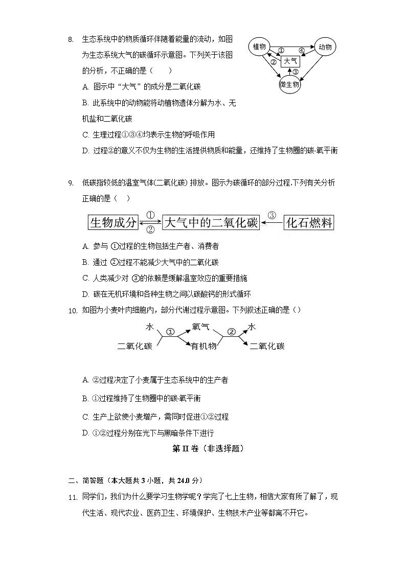 18.2绿色植物与生物圈中的碳——氧平衡    苏科版初中生物八年级上册同步练习（含答案解析）03