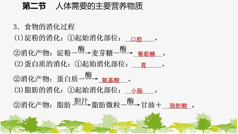 苏教版七年级生物下册 第九章 第二节   第2课时   食物的消化和营养物质的吸收课件07