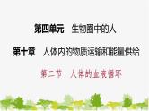 苏教版七年级生物下册 第十章 第二节  第1课时   血管和心脏课件