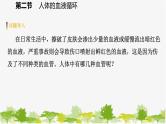 苏教版七年级生物下册 第十章 第二节  第1课时   血管和心脏课件