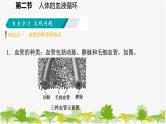 苏教版七年级生物下册 第十章 第二节  第1课时   血管和心脏课件