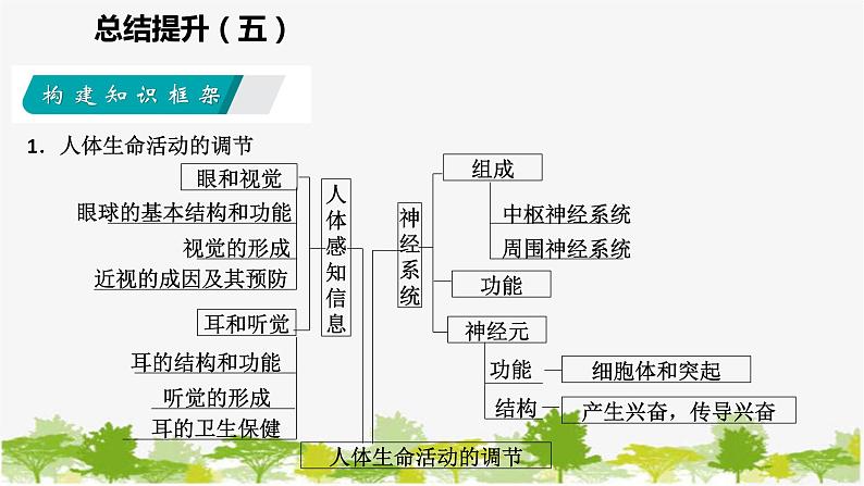 苏教版七年级生物下册 第十三章  人是生物圈中的一员   小结与复习课件03