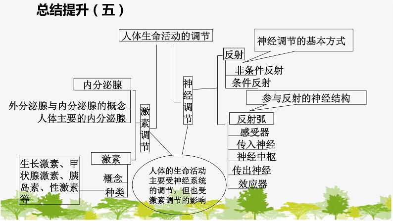 苏教版七年级生物下册 第十三章  人是生物圈中的一员   小结与复习课件04