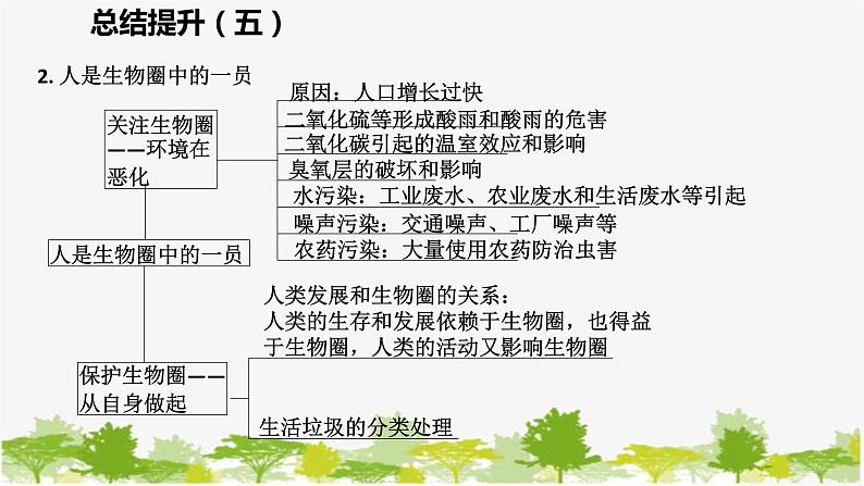 苏教版七年级生物下册 第十三章  人是生物圈中的一员   小结与复习课件05